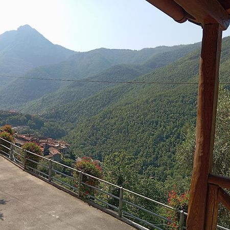 Agriturismo U' Spigu Nonna Annetta Nasino Extérieur photo