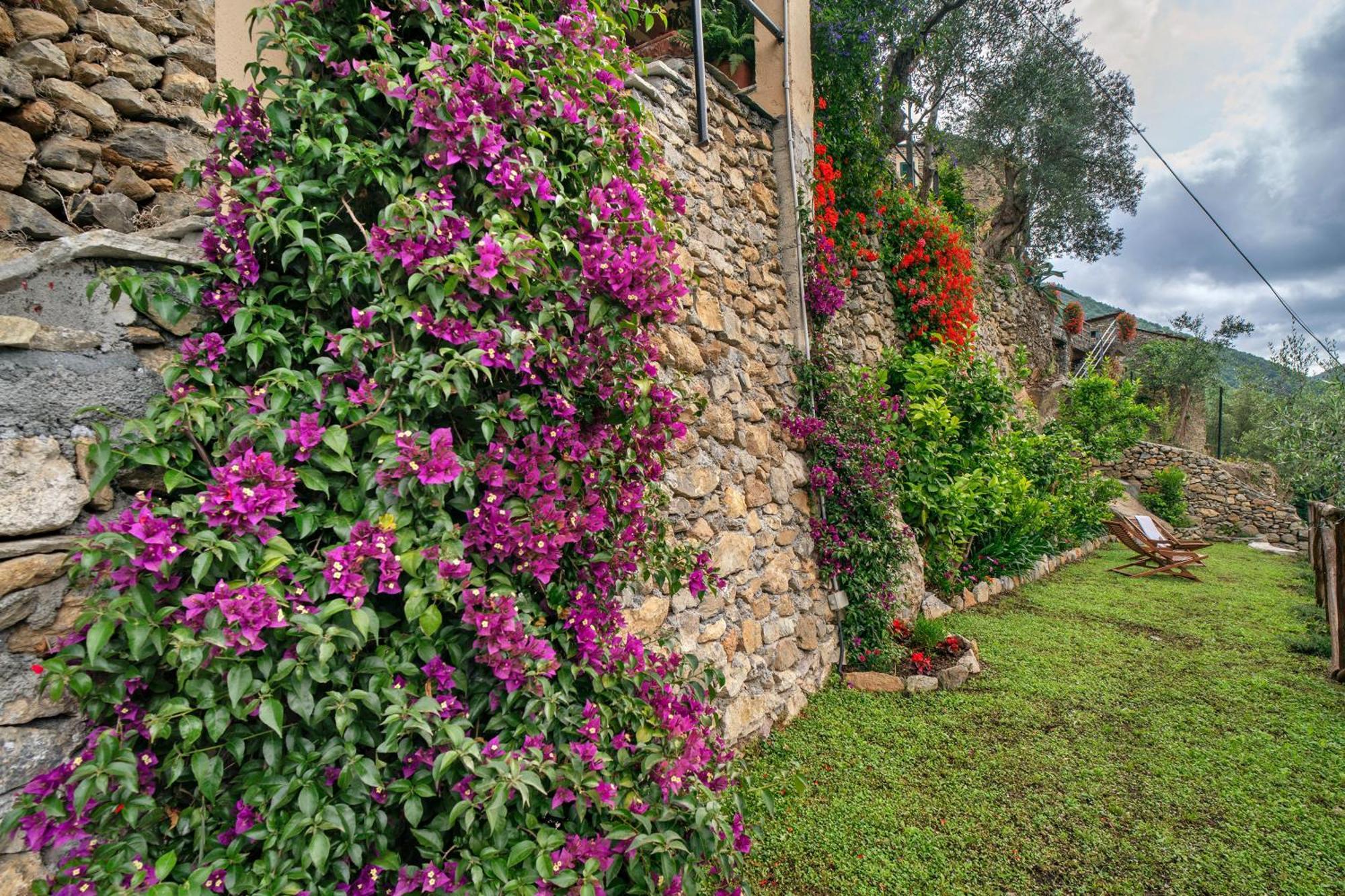 Agriturismo U' Spigu Nonna Annetta Nasino Extérieur photo
